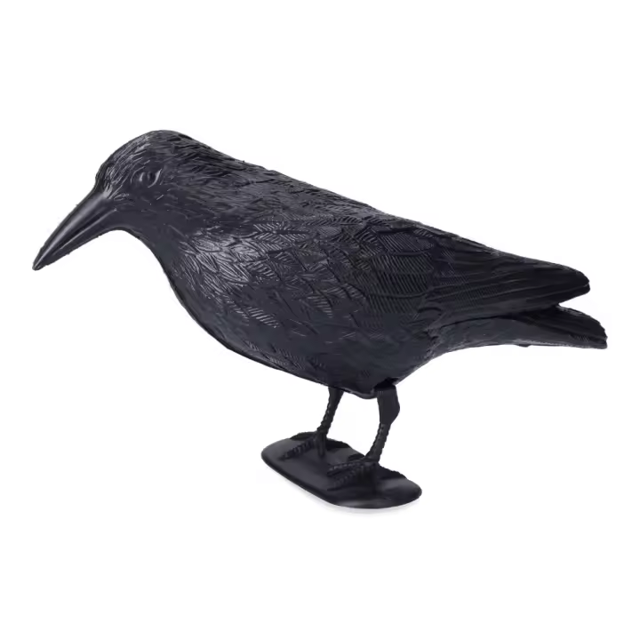 CUERVO AHUYENTA PAJAROS 19x39cm - 1