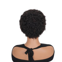 Pelucas De Encaje Completo Pixie Corta Rizado Suave Para Mujeres Peluca De Cabello Humano Brasileño Remy Textura Sassy Curl Tamaño Promedio - details 4