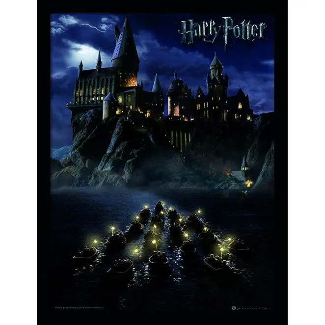 Pyramid International Cuadro Harry Potter (Hogwarts School) Framed 30 x 40cm - 1