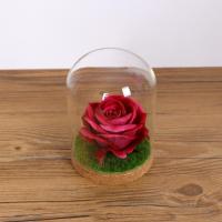 Jarrón De Vidrio Transparente Con Cubierta De Cúpula Y Base De Madera Para Suculentas Terrarium Decoración De Boda Y Navidad Moderno - details 3