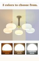 10PCS Bombillas LED E27 De Alta Luminosidad 8W-24W Luz Caliente Fría Para Hogar Dirección Living Room Iluminación AC220V 230V 110V - details 4