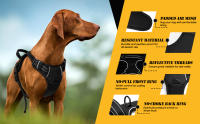 Nobleza - Arnes Perro Pequeño, Arnes Perro Antitirones con Lineas Reflectantes, Cómodo Transpirable Acolchada Ajustable Arneses Tipo Chaleco para Perros para Adiestramiento, Paseo - details 2