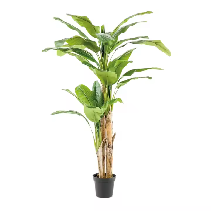 Árbol Platanero Multitronco Artificial Decorativo - Medidas: 20x20x180 cm - MISTERWILS FURNITURE FOR FREE SOULS - 1