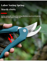 Tijeras De Jardín Con Cuerda Antipérdida Para Cortar Ramas Y Brotes Florales Menores a 2.5cm Herramienta De Podar Metálica Con Agarre Antideslizante - details 6