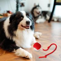 Juguete Interactivo Para Gatos Y Perros Bola Rodante Recargable Juguetes Electrónicos Para Mascotas Juguete Inteligente Para Perros Y Gatos - details 5