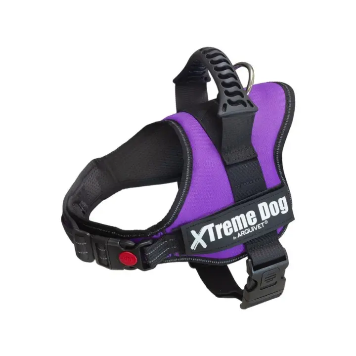 ARQUIVET - Xtreme Dog - Arnés para Perros en color Lila (6 Tallas) - 1