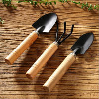 Juego De 3 Piezas De Herramientas De Jardinería Con Mango De Madera Shovel Rake Multifuncional Para Plantas Bonsái Del Hogar - details 5