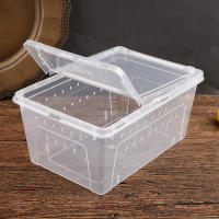 Caja De Cría Para Reptiles Acrílico Transparente 1 Pc Tanque De Tortugas Lagartos Insectos Y Araña Caja De Vitrum Para Mascotas - details 9