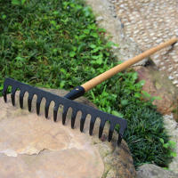 Riega De Acero Inoxidable Para Jardín Con 14 Dientes Rake De Hoja Caducifolia Para Tierra De Pinos Herramientas Agrícolas Y De Jardinería - details 4