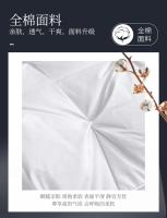 Almohada De Pluma De Ganso Blanca Para Invierno 100% Algodón Capa Superior Estilo 3D Rectangular Para Cuello Queen King Tamaño De La Cama - details 14