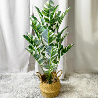 Planta Artificial De Banano Verde Grande 86-120cm Decoración Para Interior Y Exterior Ideal Para Bodas Y Jardines - details 19