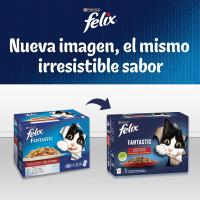 Felix Purina Fantastic Comida Húmeda para Gato Adulto Pack Surtido Pescados, 12 paquetes de 4 sobres 85g - 48 - details 6