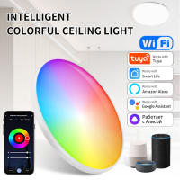 Lámpara De Techo Redonda Inteligente 24W RGB+WW+CW Soporte Para Control Remoto Por Smartphone Iluminación Variable De Color Con Ilusión Lámparas Modernas Para El Hogar - details 5