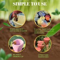 Bee Cups for Thirsty Bees Garden,Bees Need Safe Places to Drink! Bee Cups Collect a Teaspoon Of Water (Colorful) - details 1