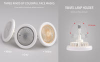Ceiling Fans with Lights