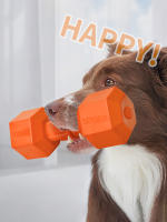 Juguete De Entrenamiento Para Perros 1 TPR Material Barbilla Para Masticar Y Jugar Interacción Con Mascotas Juguetes Para Perros - details 0