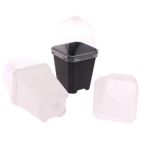 Juego De 5 Macetas Cuadradas Pequeñas Con Domos De Humedad Transparentes Para Plantas En Iniciación Moderno Estilo Plástico - details 9
