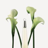 Issey Miyake L'Eau D'Issey Lote De Regalo Para Mujer (100ML EDT Spray & 75ML Loción Corporal) - details 1