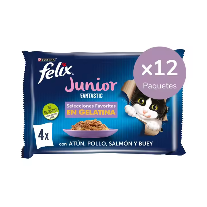 FELIX - Fantastic Junior (48x85 gr) - Comida Húmeda para Gatitos (Buey, Pollo, Salmón y Atún) (12x4x85 gr) - 1