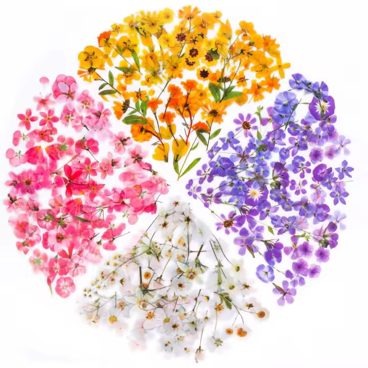 Set de 160 Pegatinas Decorativas Transparentes de Flores y Plantas – Stickers Creativos para Collage, Scrapbooking, Cuadernos, Botellas de Cristal y Manualidades – Sello de Copos con Gran Capacidad - 1