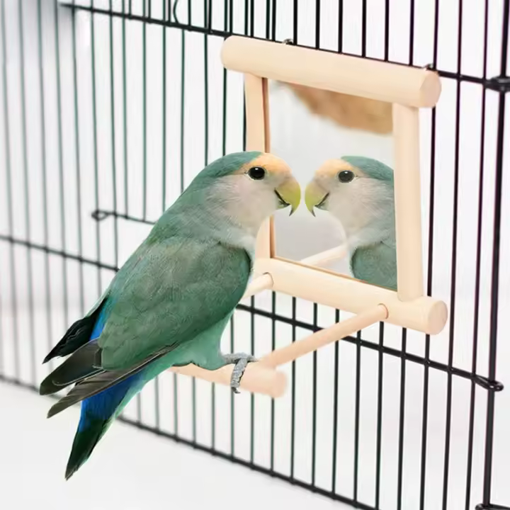 Juguete Interactivo De Madera Para Pájaros Con Espejo Y Trepado Para Periquitos Pequeños Cotorras Conure Y Loros Accesorios De Jaula - 1