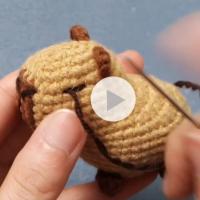 Kit De Tejer Para Principiantes Con Peluche De Capybara Y Guía De Tejer a Mano Conjunto DIY De Conejo De Peluche Herramientas De Tejer Y Hilo Incluidos - details 5