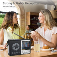 Radio Portátil Retro AM FM Con Altavoz Integrado Mejor Receptor Y Batería Recargable SW1-6/USB/TF Uso Interior Y Exterior - details 5