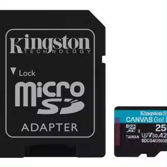 Kingston Technology Tarjeta microSDXC Canvas Go Plus Gen4 de 256 GB, 200 MB/s, A2 U3 V30 y adaptador - 1