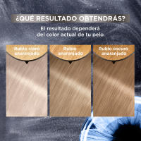Garnier Olia Hi-Shine Toner Rubio Ceniza o Platino para cabello con mechas o aclarado Sin Amoniaco - details 2