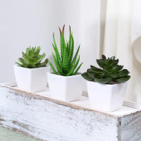 3 Macetas De Plantas Simuladas Pequeñas Para Decoración De Oficinas Salones De Estar Ventanas Jardines Y Courtyards - details 3