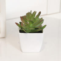 Set De 6 Suculentas Artificiales Miniatura En Vaso Blanco Para Decoración De Escritorio Librería Restaurante Y Ventanas Casas - details 3