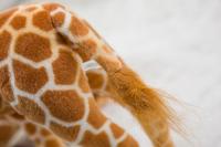 Gran Peluche De Giraffa Real Vida Juguete De Peluche De Animal Suave Para Decoración De Habitación Regalo De Cumpleaños Para Niños - details 18