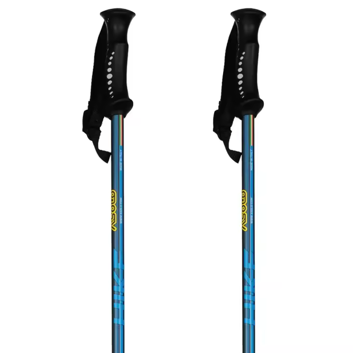 Material senderismo Bastones Asolo Bastones Hike Transparente Unisex - 1