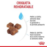 Royal Canin Mother & Babycat Pienso Para Gatitos Y Gatas Lactantes 2Kg - details 5