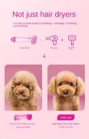 Secador De Pelo Para Perros Y Gatos Pequeños Y Medianos Con Peine Integrado Silencioso Material De Plástico Para Secado De Pelo - details 9