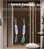 Tira De LED COB WS2811 24V 5M 10M 20M Flexible Para Decoración De Habitaciones Luz De Caballo Carrilnea Sin Impermeable - details 12