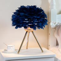 Lámpara De Mesa Para Dormitorio Con Plumas De Ganso Luz Decorativa Para Sala De Estar Y Café Romántica Para Boda Y Navidad Fuente De Iluminación LED Sin Baterías Fuente De Alimentación AC - details 5