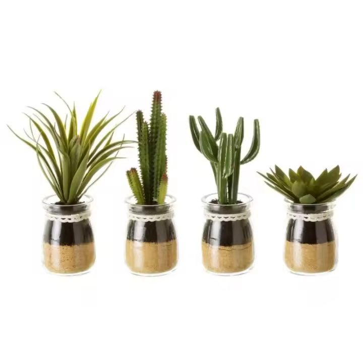 Dcasa Set de 4 plantas artificiales de cactus con maceta de cristal de Ø 5x18 cm - 1