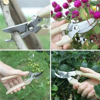 Tijeras De Podar Para Jardín Profesionales Herramientas Manuales De Ortofruta Tijeras De Bonsái Para Jardinado Acero Inoxidable Curvadas - details 8