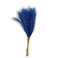 10PCS Pampas De Paja Fluffy 55CM Decoración Bohemia Para Fiesta Y Hogar Plantas Artificiales De Rabo De Sapo Para Boda - details 14