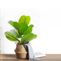 Arbusto Artificial De Ficus De 45-63cm Estilo Nórdico Planta Potted Para Decoración De Hogar Y Jardín Material Plástico - details 6