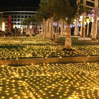 Luces De Red LED Para Exterior Decoración De Jardín De Hadas Calle Parques Fiesta Navidad Boda Decoración Lámpara De Red De Pesca - details 1