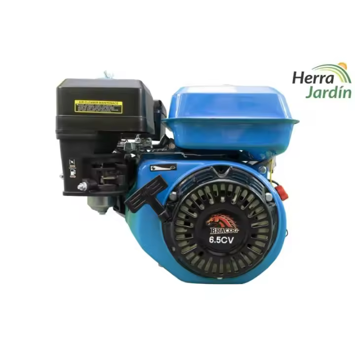 Motor BRACOG 4,8kw (6,5hp) - 1