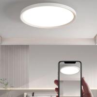 Lámpara De Techo Moderna LED Para Pasillo Baño Dormitorio Material ABS Y Acero Iluminación Diaria Fuente De Luz AC 220V 27CM 37CM Impermeable - details 1