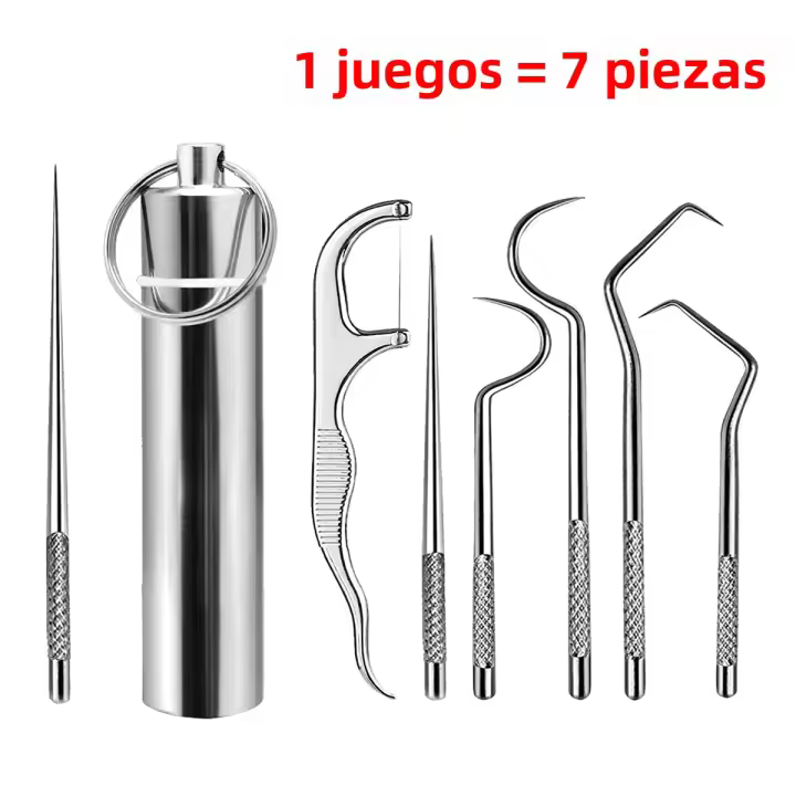 Kit De Limpieza Dental Reutilizable Con Limpiaencías De Dientes Y Llave De Olla De Acero Inoxidable Set De Limpieza Oral Para Adultos Con Bolsa De Aluminio+ Nylon - 1