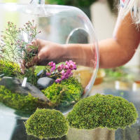12 Pcs Piedras De Mostrador Artificiales Para Bonsái Decoración De Micro Paisaje Imitación De Rocas Mostrador Verdes Falso Plantón Para Oficina - details 7