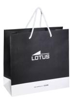 PULSERA LOTUS STYLE LS2303-2/2 ACERO INOXIDABLE 316L, HOMBRE - details 2