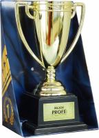 Copa trofeo decorativa 19cm para el o la "Mejor Profe". - details 0