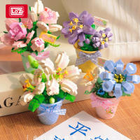 Bloques De Construcción 3D LOZ Plantas Suculentas Cactus Y Rosas Juguete De Artesanía Para Decoración Del Hogar Juguetes De Bloques Para Niños - details 2