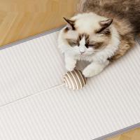 Mesa De Rascado Para Gatos Con Sisal Protección De Sofá Y Pared Juguete Para Mascotas Material De Madera De Pino Un Solo Nivel - details 5